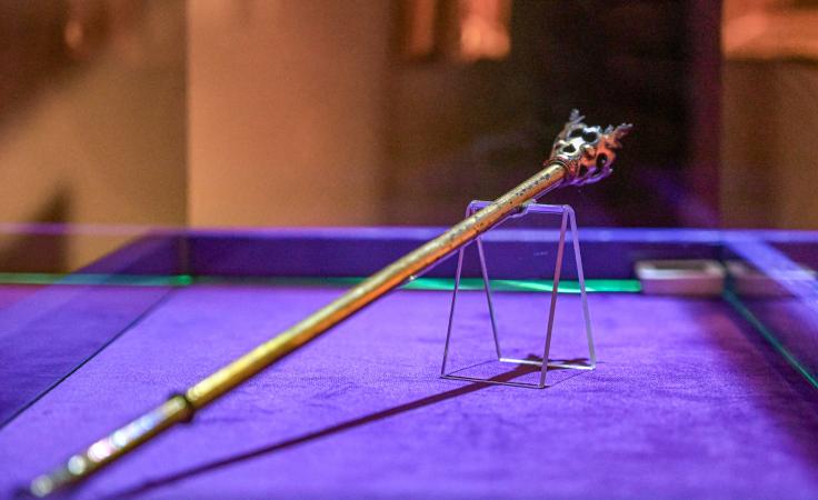 Pirmąkart eksponuojama Barboros Radvilaitės pomirtinė insignija